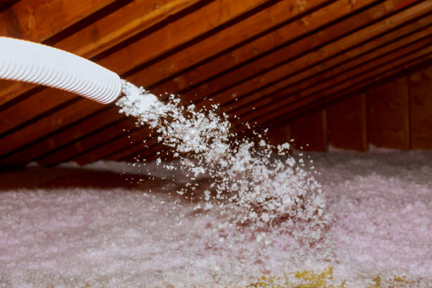 Professional Insulation Contractor in Gonzalez, FL