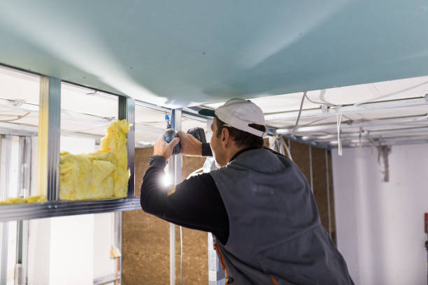 Best Blown-in Insulation in Gonzalez, FL